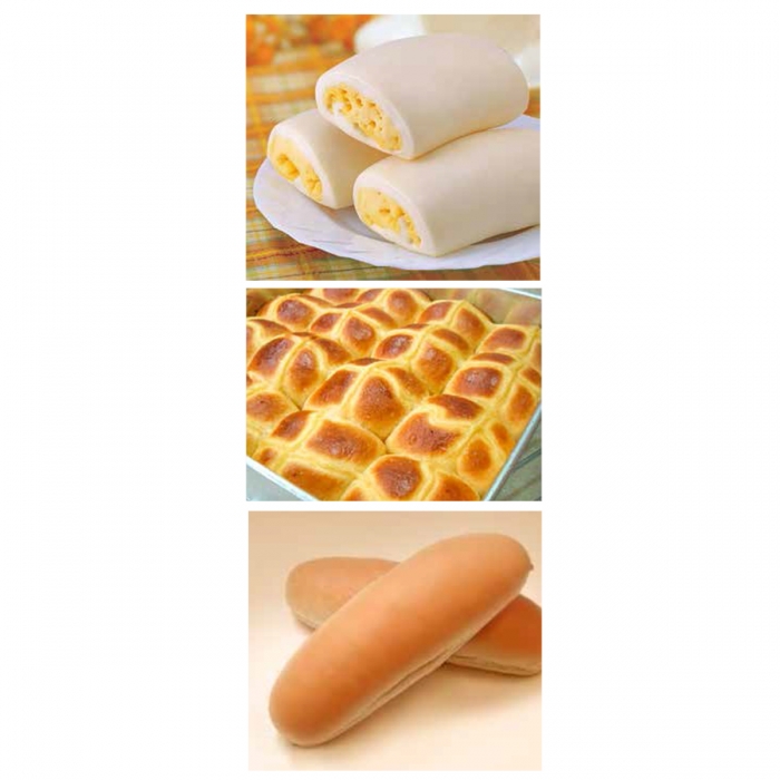 MURNI Multipurpose Automatic Encrusting & Moulding Machine