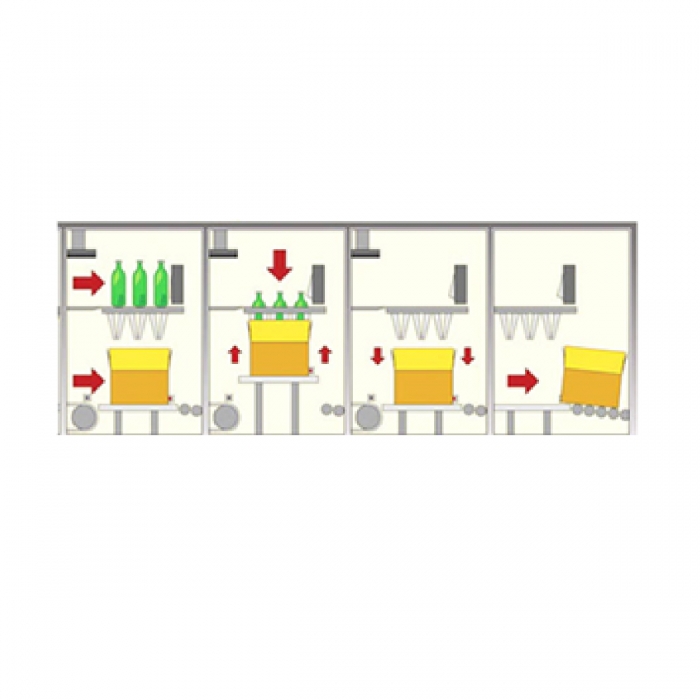 DCS Automatic Case Packer